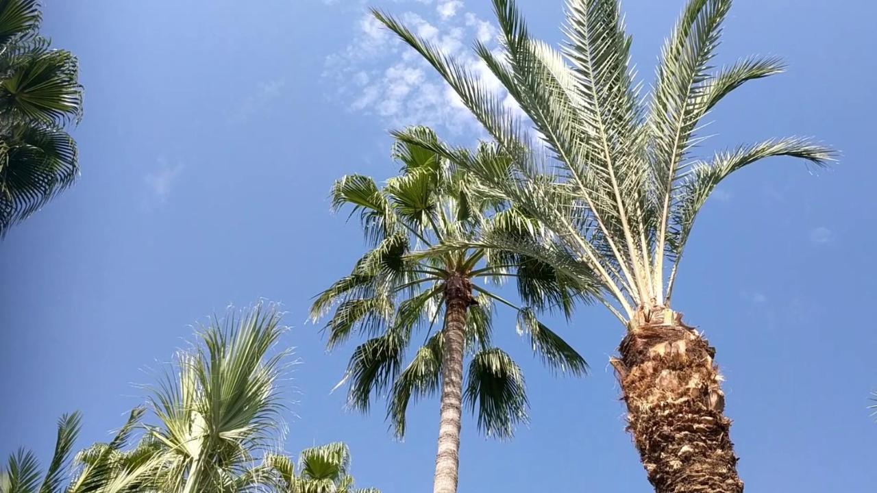 Fantastic 1 Bed Apartment By The Sea Opposite 4 Seasons Limassol Luaran gambar